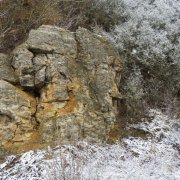LauLau_20260214_03
