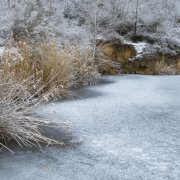 LauLau_20260214_04