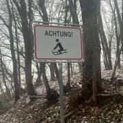 LauLau_20260214_11