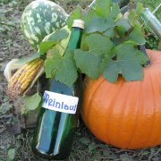 laulau_20101009_08