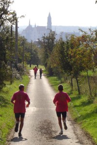 Mit Blick auf Meißen (Foto: M. Splittgerber)